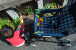 IMG08310.jpg