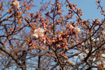 IMG09807.jpg